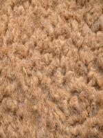 Camel Fiber