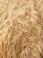 Camel Fiber