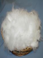 Angora Fiber 